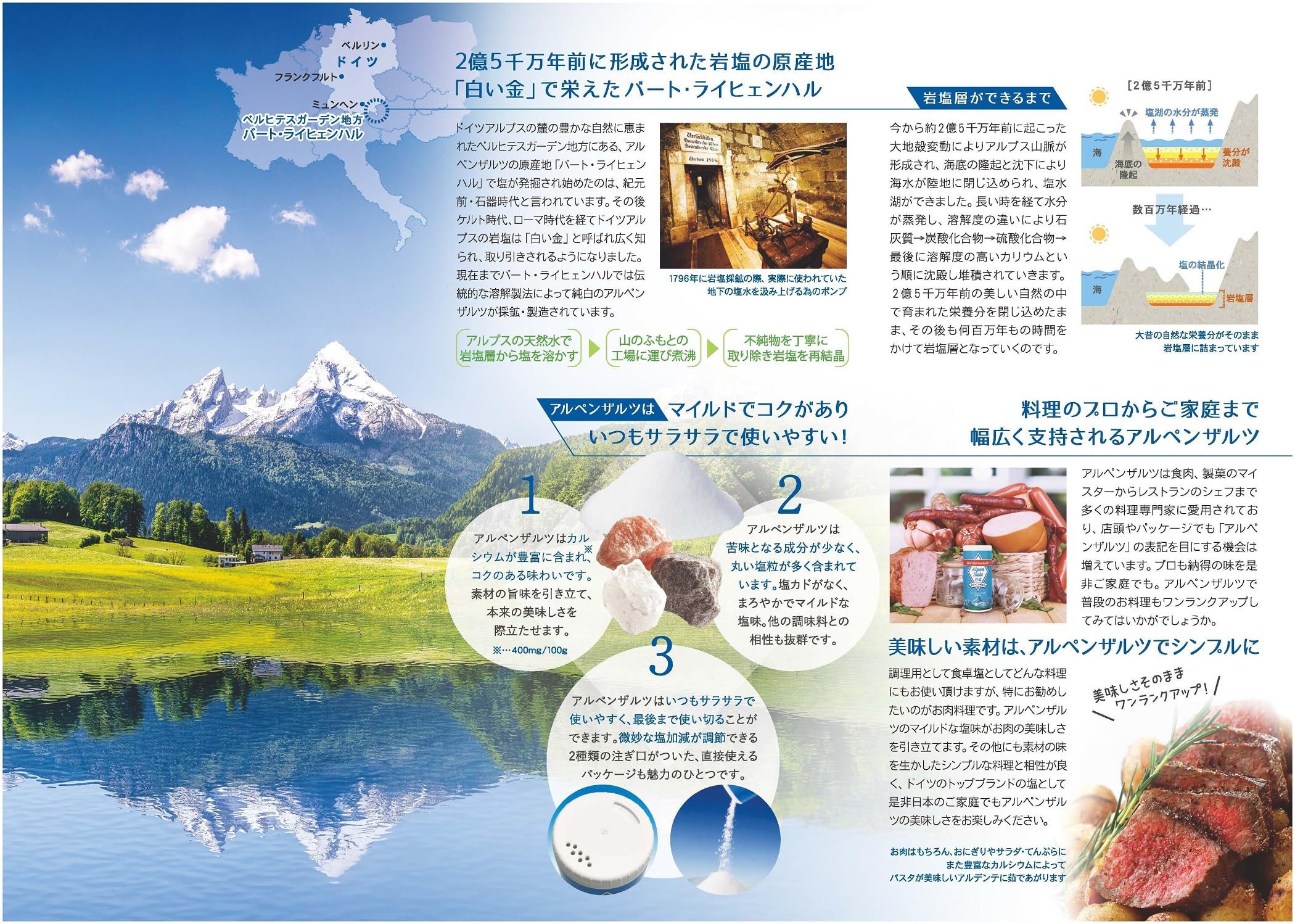 Amazon.co.jp: SKWイーストアジア アルペンザルツ 500g : 食品・飲料・お酒